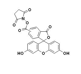 5(6)-Ȼɹ-NHS