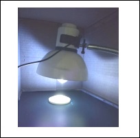 _ʽ̻