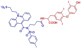 ߹ऻ}-T3Y