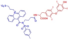 ߹ऻ}-T4Y